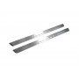 Led door sills Volkswagen Touareg III 2018+ (front doors)