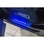 Led door sills Volkswagen Touareg III 2018+ (rear doors)