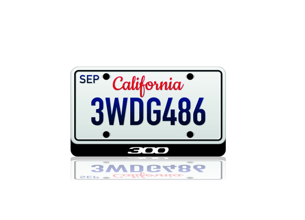 LED License Plate Badge for Chrysler 300 II (USA type)