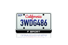 LED License Plate Badge for Lexus F Sport (USA type)