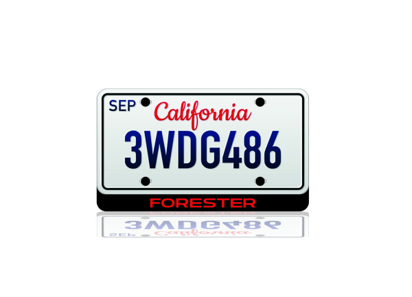 LED License Plate Badge for Subaru Forester (USA type)