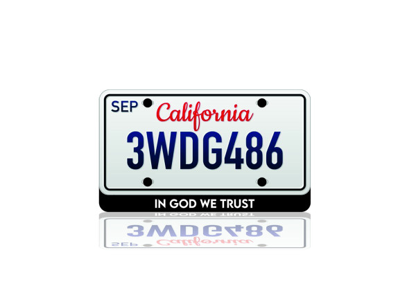 LED License Plate Badge for "In God We Trust" (USA type)