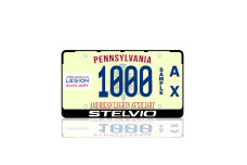 License Plate Frame for Stelvio (USA type)