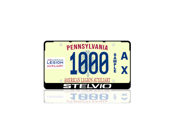 License Plate Frame for Stelvio (USA type)