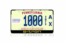 License Plate Frame for Audi E-Tron (USA type)