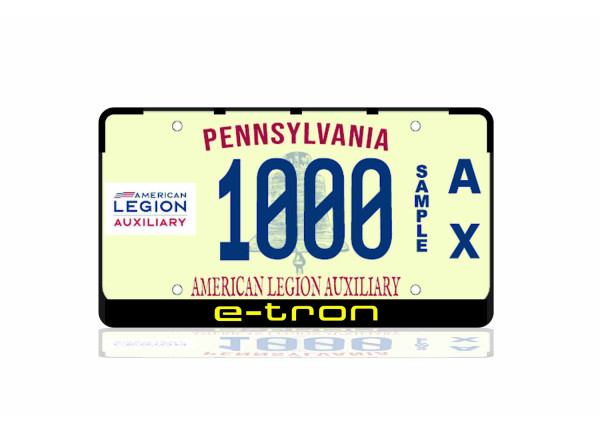 License Plate Frame for Audi E-Tron (USA type)