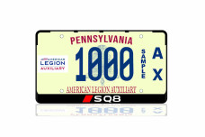 License Plate Frame for Audi SQ8 Var.2 (USA type)