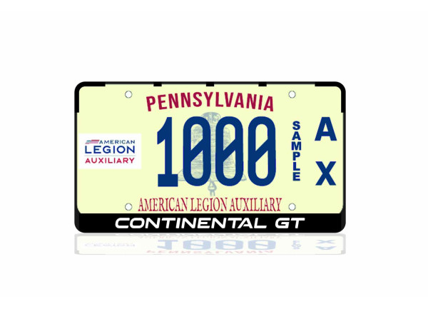 License Plate Frame for Bentley Continental GT (USA type)