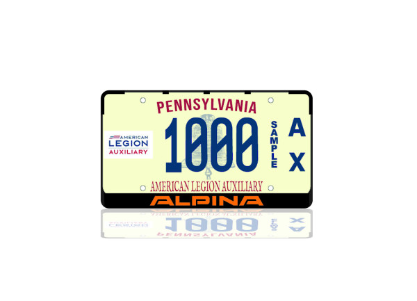 License Plate Frame for Alpina (USA type)