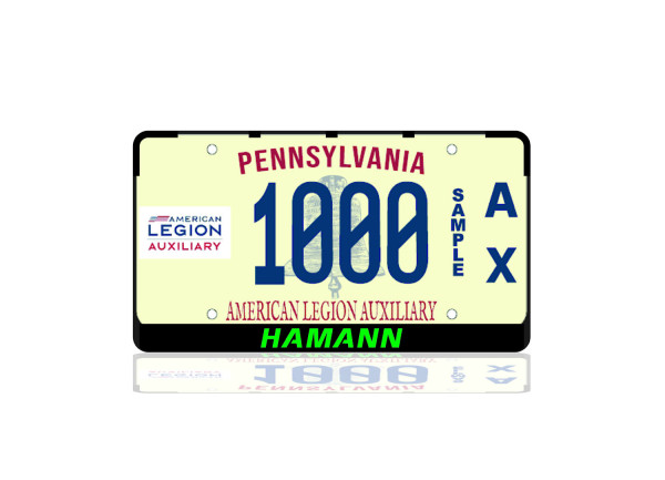 License Plate Frame for Hamann (USA type)