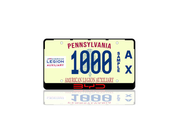License Plate Frame for BYD (USA type)