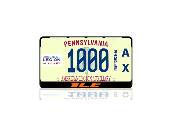 License Plate Frame for Camaro 1LE (USA type)
