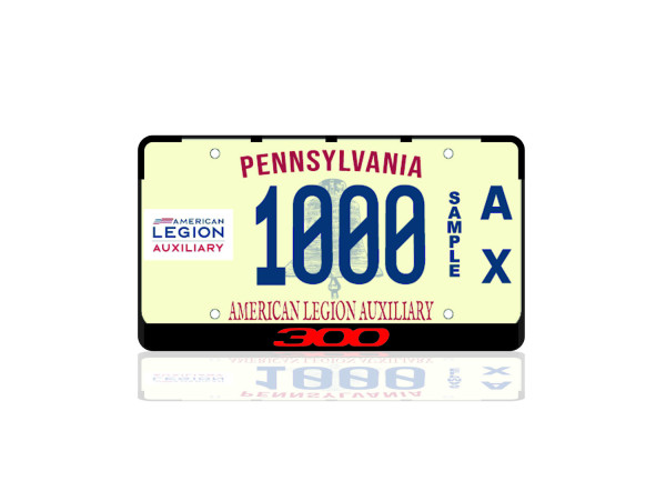 License Plate Frame for Chrysler 300 II (USA type)