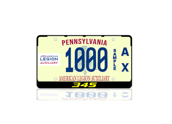 License Plate Frame for 345 (USA type)
