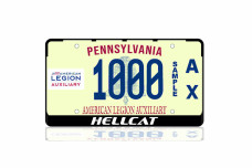 License Plate Frame Hellcat (USA type)