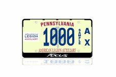License Plate Frame for Ford Focus III (USA type)