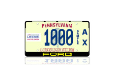 License Plate Frame for Ford (USA type)