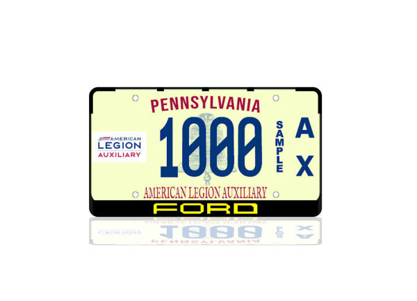 License Plate Frame for Ford (USA type)