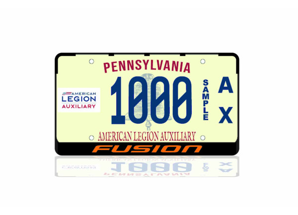 License Plate Frame for Ford Fusion II (USA) 2012+ (USA type)