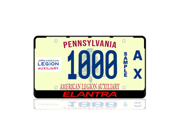License Plate Frame for Hyundai Elantra V MD 2011-2016 (USA type)