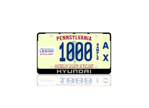 License Plate Frame for Hyundai (USA type)
