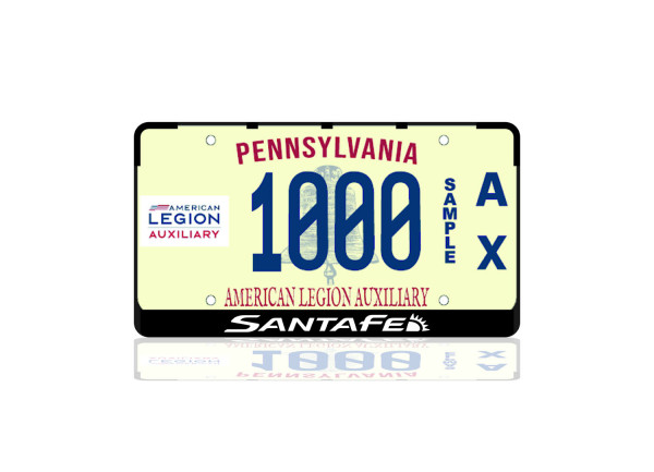 License Plate Frame for Hyundai SantaFe III 2012-2019 (USA type)