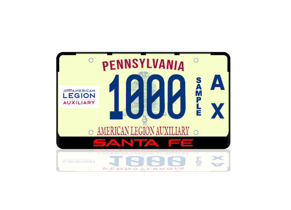License Plate Frame for Hyundai SantaFe V 2024+ (USA type)