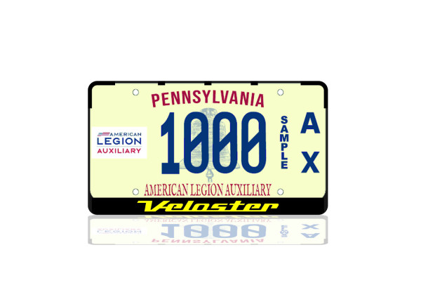 License Plate Frame for Hyundai Veloster (USA type)