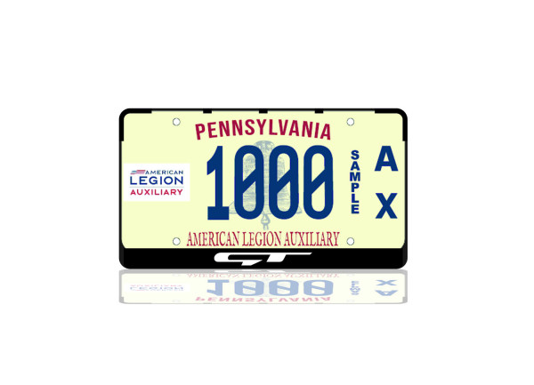 License Plate Frame for KIA GT (USA type)