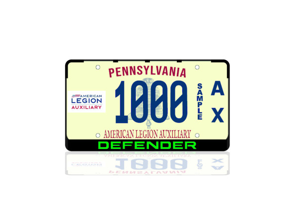 License Plate Frame for Land Rover Defender II 2019+ (USA type)