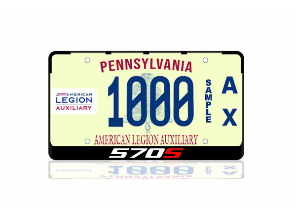 License Plate Frame McLaren 570S 2015-2020 (USA type)
