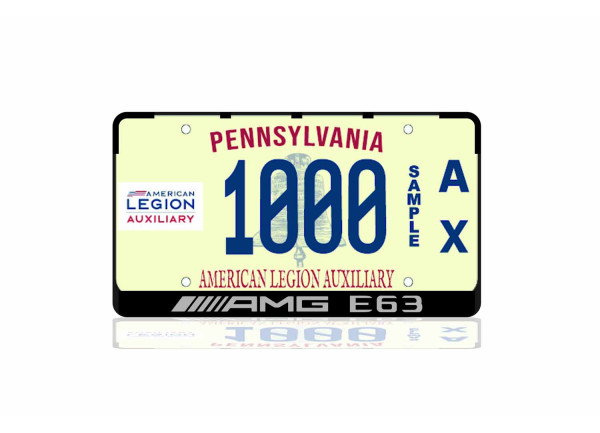 License Plate Frame for AMG E63 (USA type)