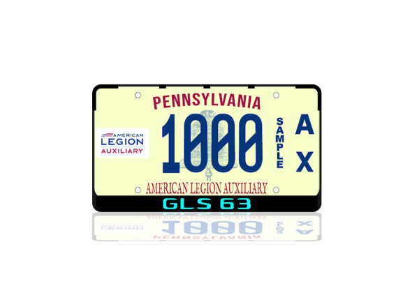 License Plate Frame for Mercedes GLS63 (USA type)