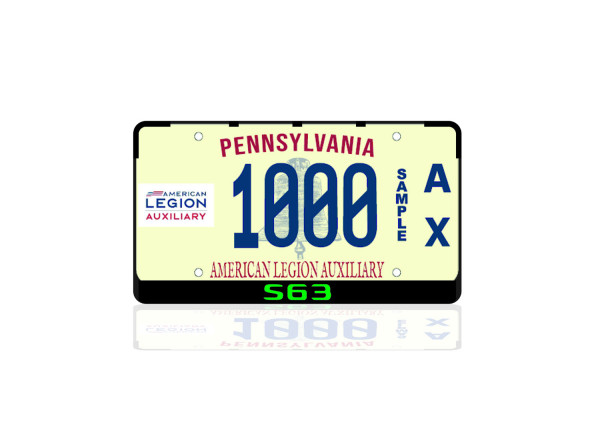 License Plate Frame for Mercedes S63 (USA type)