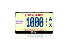 License Plate Frame for Mini (USA type)
