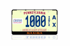 License Plate Frame for Nissan Maxima VIII 2015+ (USA type)