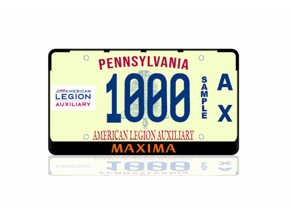 License Plate Frame for Nissan Maxima VIII 2015+ (USA type)
