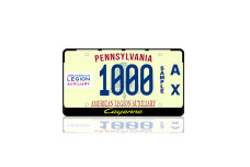 License Plate Frame for Cayenne (USA type)