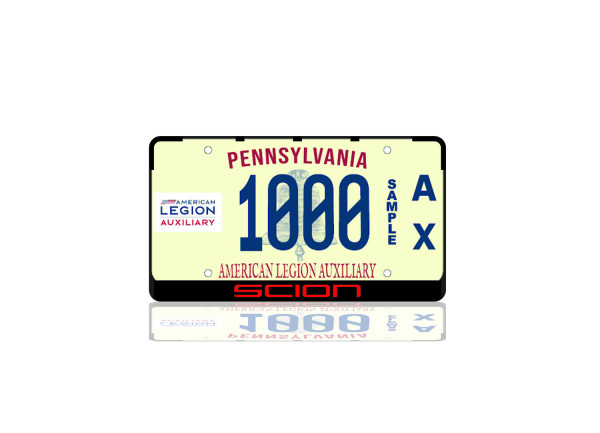 License Plate Frame for Scion (USA type)