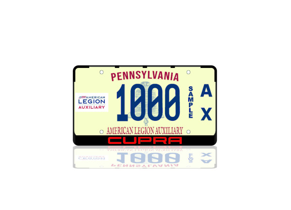 License Plate Frame for Cupra (USA type)