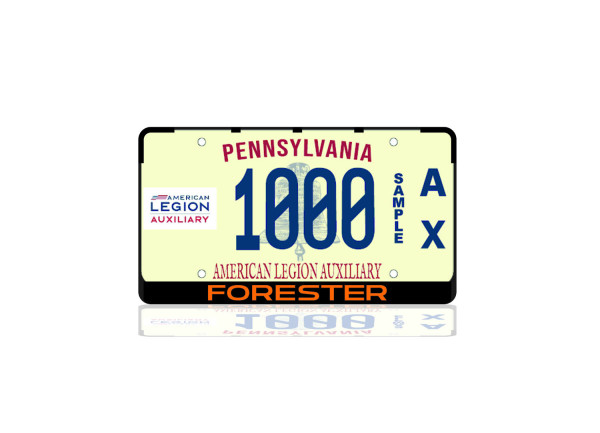 License Plate Frame for Subaru Forester (USA type)