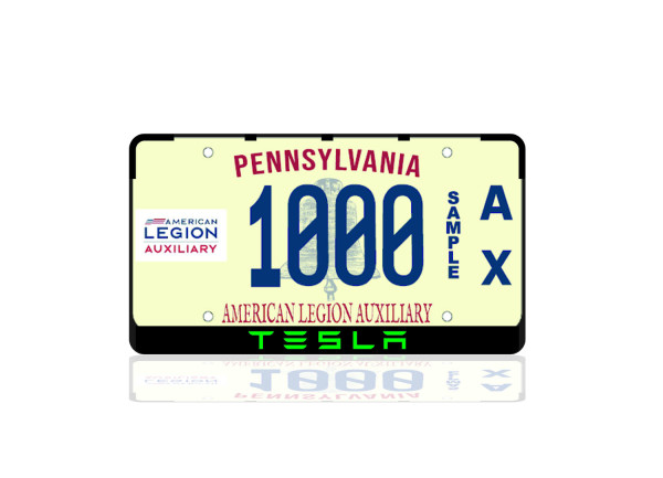 License Plate Frame for Tesla (USA type)