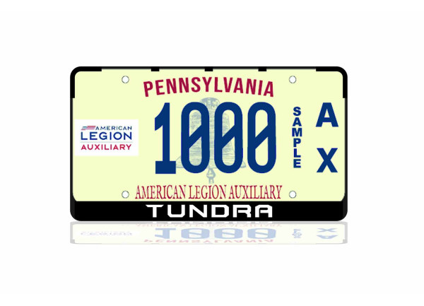 License Plate Frame for Toyota Tundra III 2014-2021 (USA type)