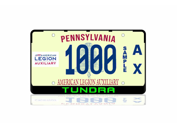License Plate Frame for Toyota Tundra IV 2021+ (USA type)