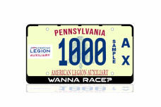 License Plate Frame Wanna Race? (USA type)